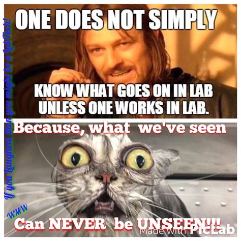 funny lab tech quotes|funny science memes.